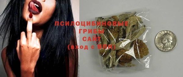 бошки Краснослободск