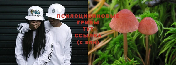 бошки Краснослободск