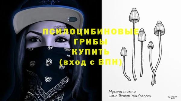 бошки Краснослободск