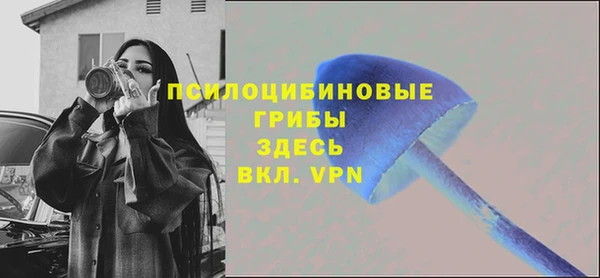 бошки Краснослободск