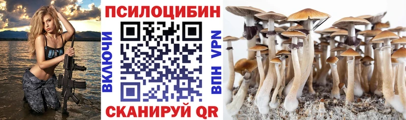 Псилоцибиновые грибы ЛСД  Купить где  Тулун 